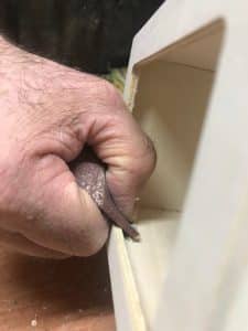 proceso de lijado de un servilletero de madera para servilleta miniservice